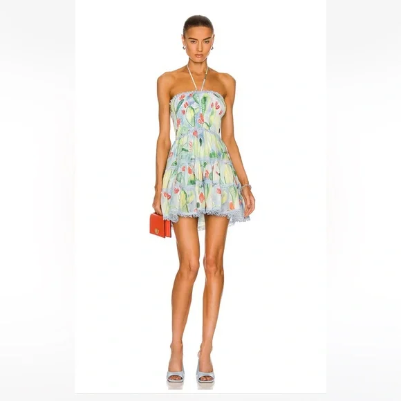 Charo Ruiz Enya Mini Dress in Barbary Print small - Picture 1 of 4